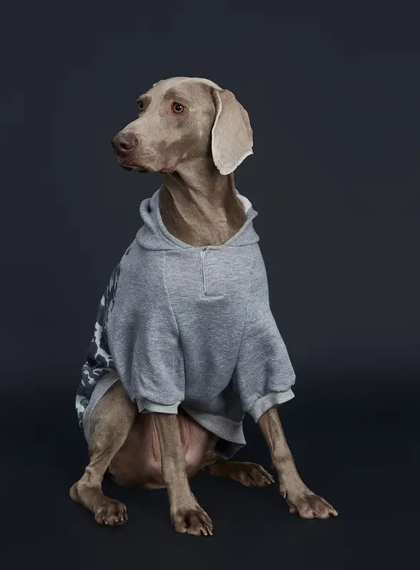 Gray Camo Dog Hoodie with hole for leash/collar access