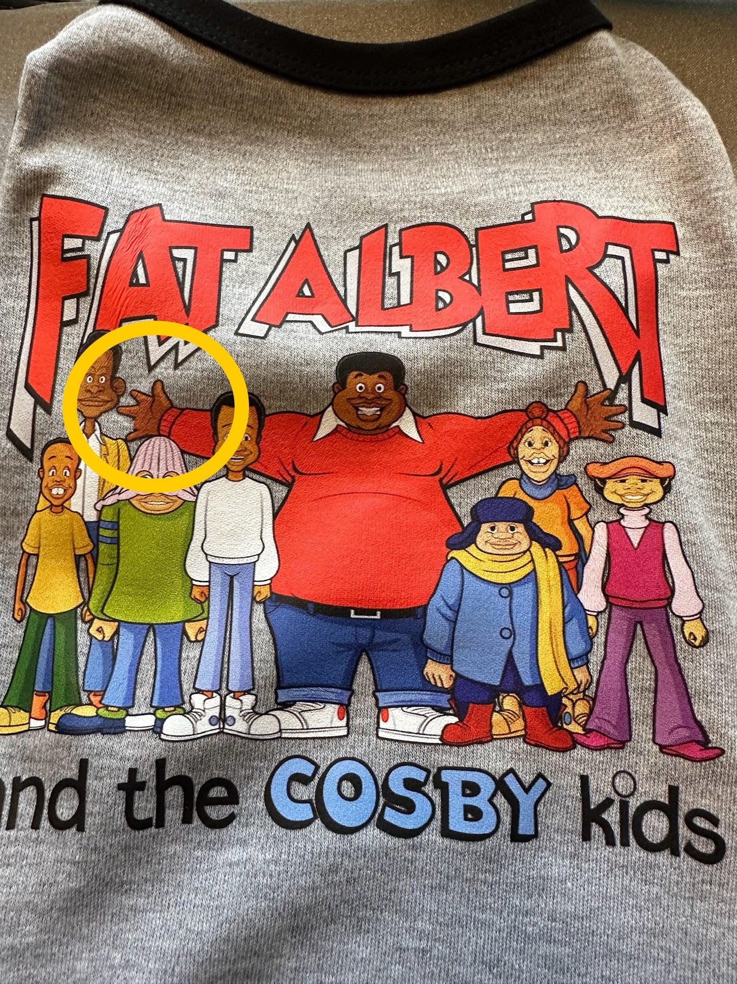 Fat Albert Gray & Black Raglan Dog TShirt