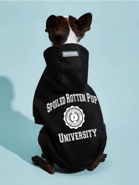Spoiled Rotten Pup University Black Dog Hoodie
