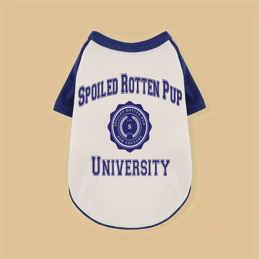 Spoiled Rotten Pup University Raglan Dog TShirt - White/Blue, Pink/Lilac, Gray/Black