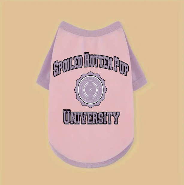 Spoiled Rotten Pup University Raglan Dog TShirt - White/Blue, Pink/Lilac, Gray/Black