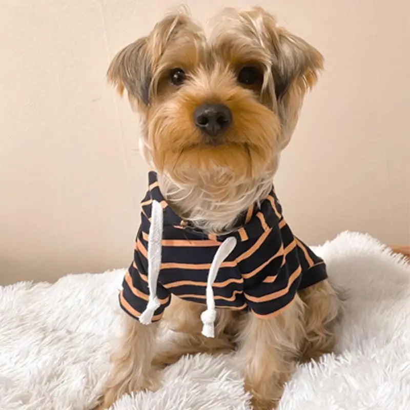 Striped Dog Hoodie for Small Medium Dogs - Spoiled Rotten Pup