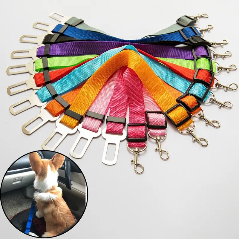 Dog Nylon Seatbelt Attachment Lead Leash - Spoiled Rotten Pup