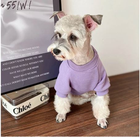 Fleece Crew Embroidered Dog Sweatshirt GAP Inspired - Spoiled Rotten Pup