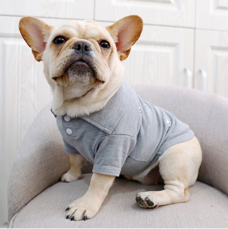 French Bulldog Embroidered Polo Shirt - Spoiled Rotten Pup