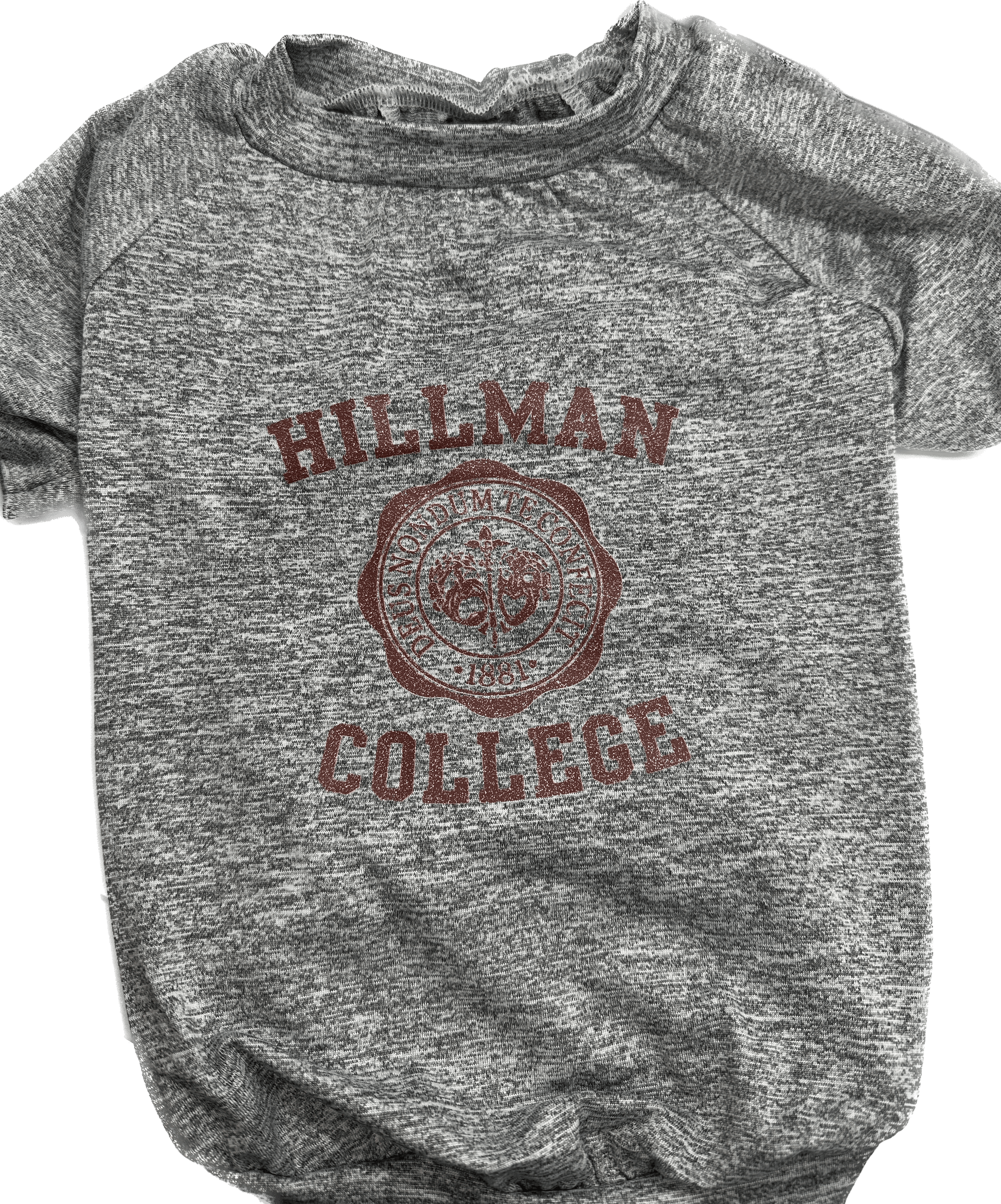 Hillman College Themed Burgundy Dog Hoodie, Gray Sweatshirt, or Gray T Shirt - Spoiled Rotten Pup