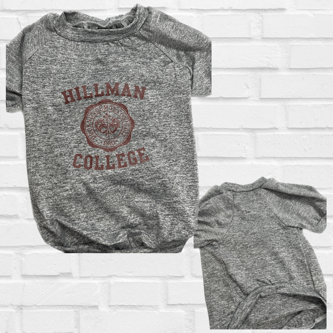 Hillman College Themed Burgundy Dog Hoodie, Gray Sweatshirt, or Gray T Shirt - Spoiled Rotten Pup