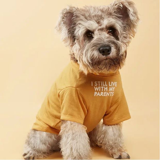 "I Still Live With My Parents" Dog Graphic Tee - Spoiled Rotten Pup