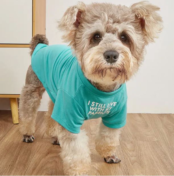 "I Still Live With My Parents" Dog Graphic Tee - Spoiled Rotten Pup
