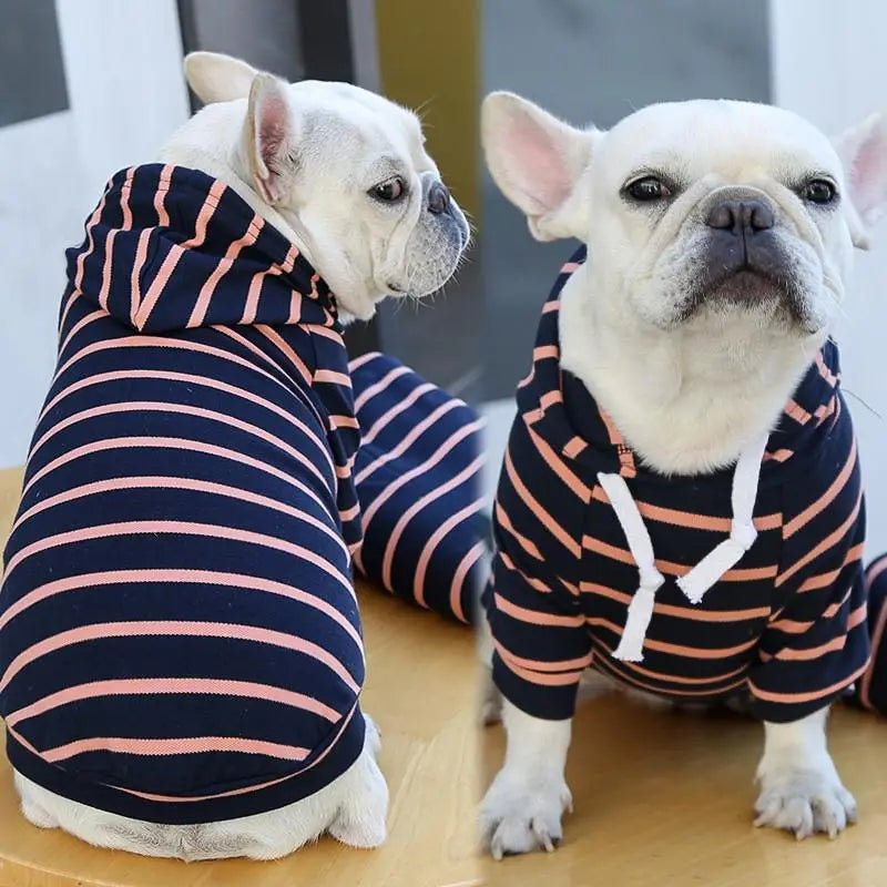 Striped Dog Hoodie for Small Medium Dogs - Spoiled Rotten Pup
