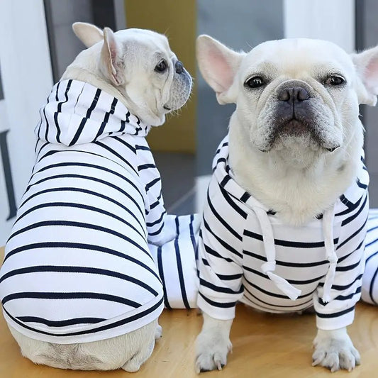 Striped Dog Hoodie for Small Medium Dogs - Spoiled Rotten Pup