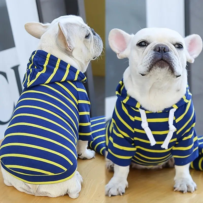 Striped Dog Hoodie for Small Medium Dogs - Spoiled Rotten Pup