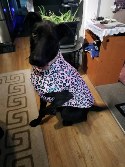 Pink/Lt. Blue Leopard & Butterfly Print Dog Vest/Coat, Waterproof & Windproof