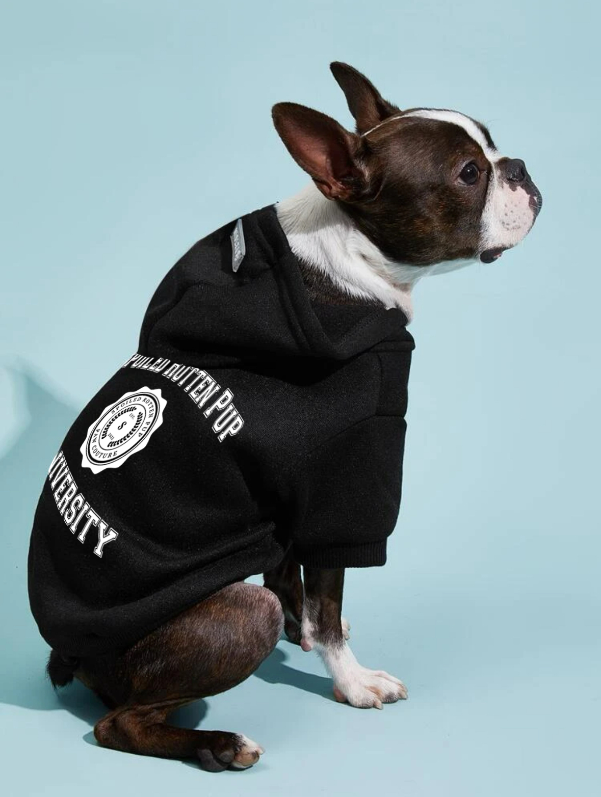 Spoiled Rotten Pup University Black Dog Hoodie
