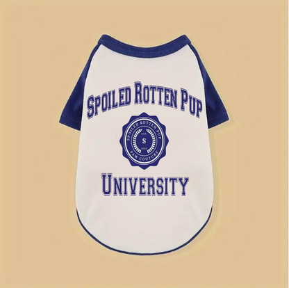Spoiled Rotten Pup University Raglan Dog TShirt - White/Blue, Pink/Lilac, Gray/Black