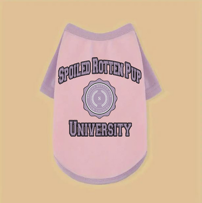Spoiled Rotten Pup University Raglan Dog TShirt - White/Blue, Pink/Lilac, Gray/Black