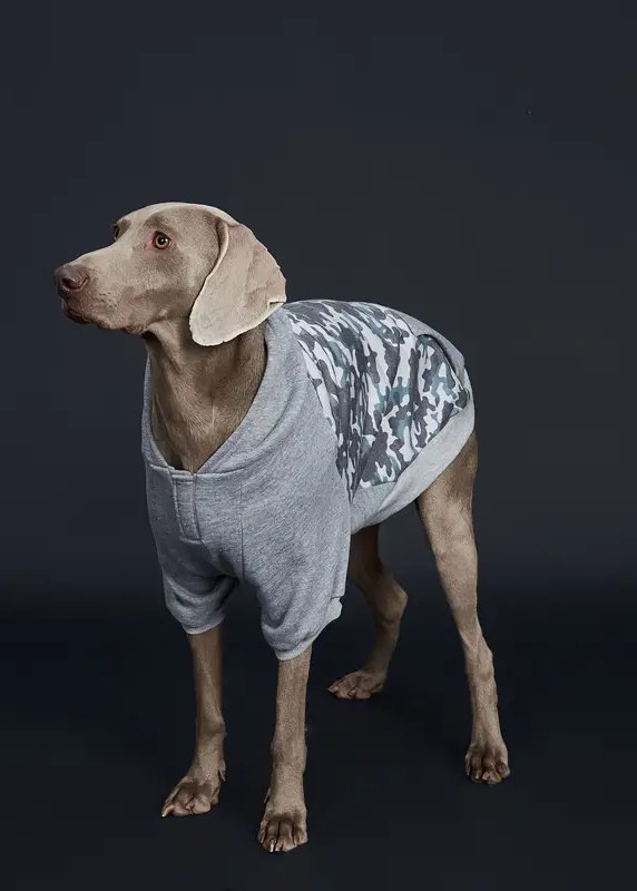 Gray Camo Dog Hoodie with hole for leash/collar access