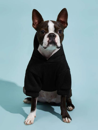 Spoiled Rotten Pup University Black Dog Hoodie