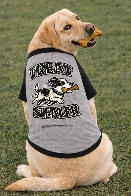 Treat Stealer Dog T Shirt(Raglan)