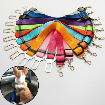 Dog Nylon Seatbelt Attachment Lead Leash - Spoiled Rotten Pup