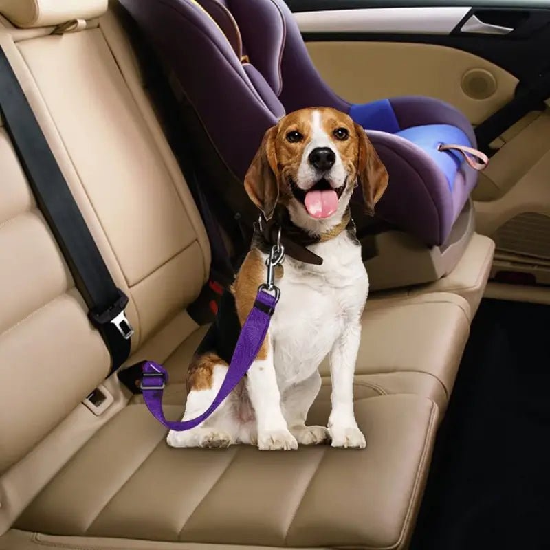 Dog Nylon Seatbelt Attachment Lead Leash - Spoiled Rotten Pup